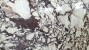 breccia-medicea