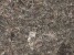50a63637ad30e505f19614391ea7699f